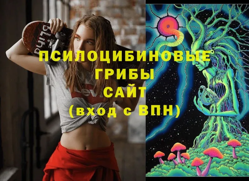 Псилоцибиновые грибы MAGIC MUSHROOMS  сайты даркнета состав  Дзержинский 